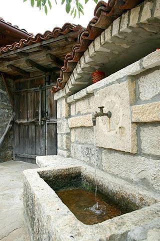 The House With The Vine Guest House زيرافنا المظهر الخارجي الصورة