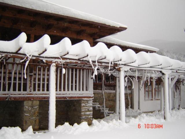 The House With The Vine Guest House زيرافنا المظهر الخارجي الصورة